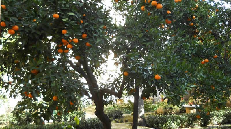 B&B L'Orangerie D'Epoque Lecce Dış mekan fotoğraf